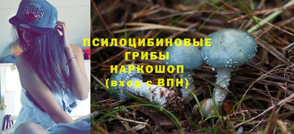 мдпв Кулебаки